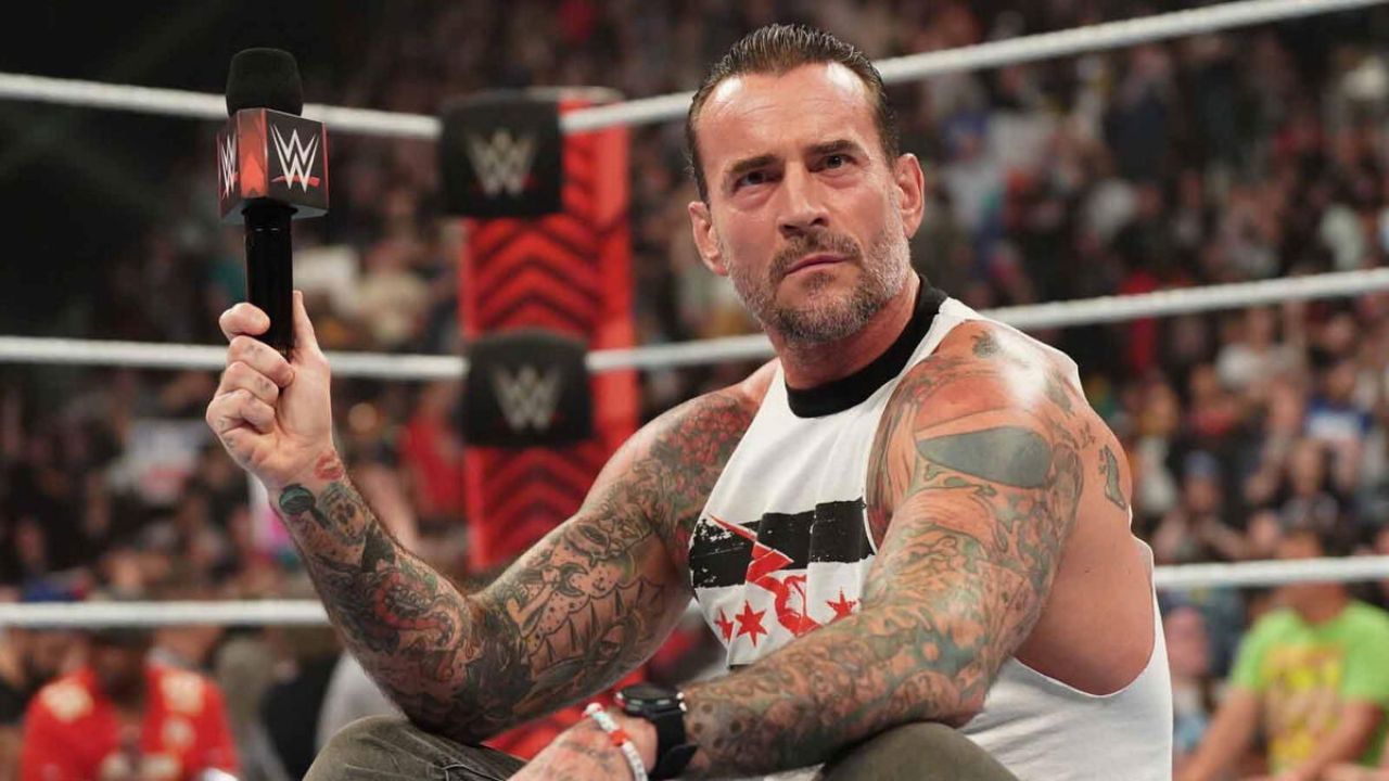 CM Punk income