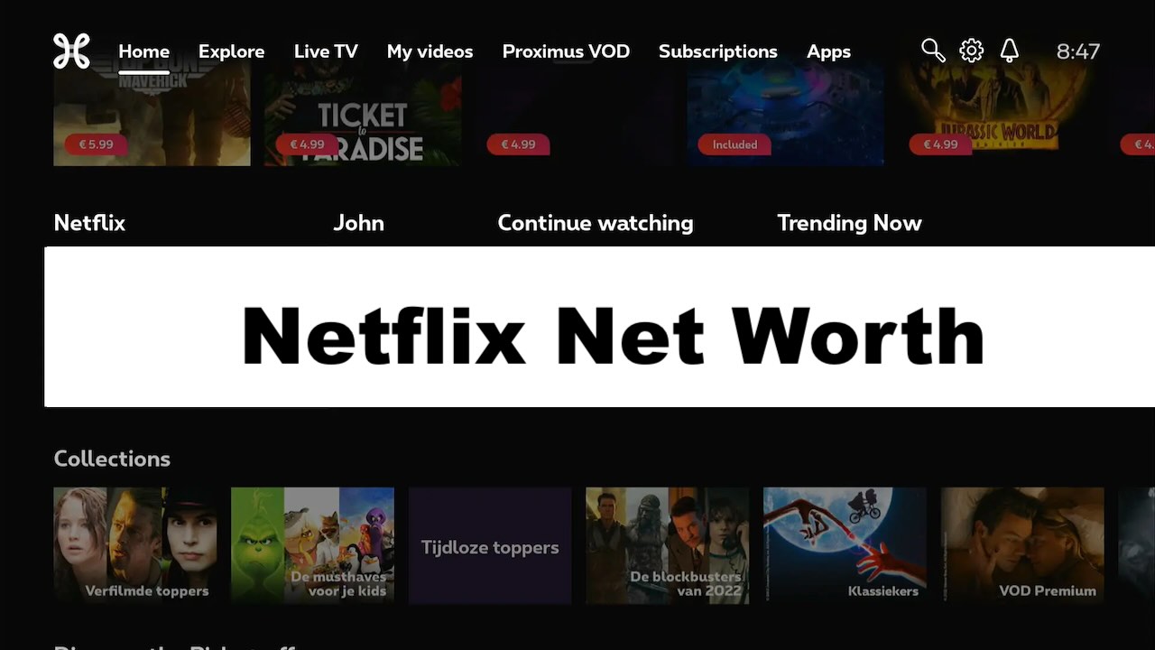 Netflix Net Worth