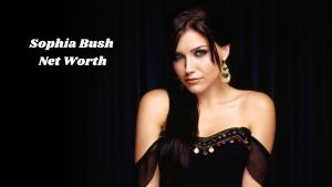 Sophia Bush Net Worth